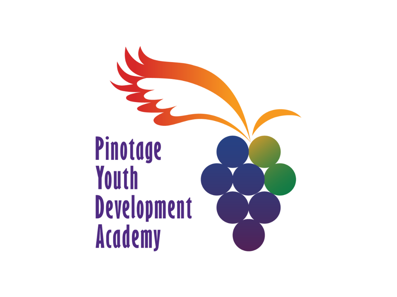 Pinotage Youth Development Academy logo