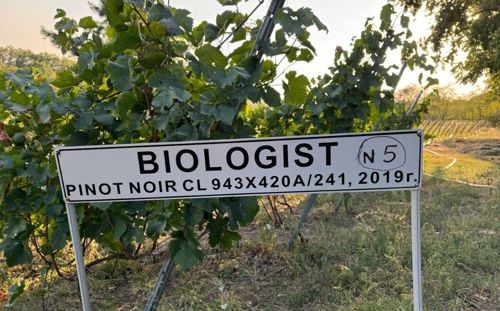 Biologist vineyard sign
