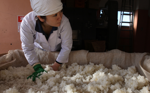 A woman touches sake rice