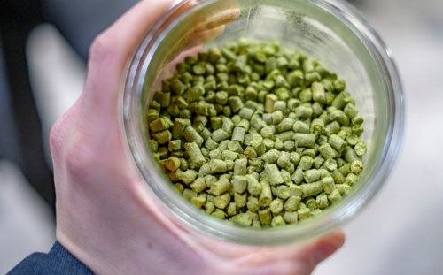 Hop pellets