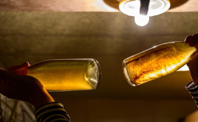 Person holding two wine bottles